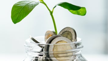 tarro de monedas con planta que simboliza crecimiento 