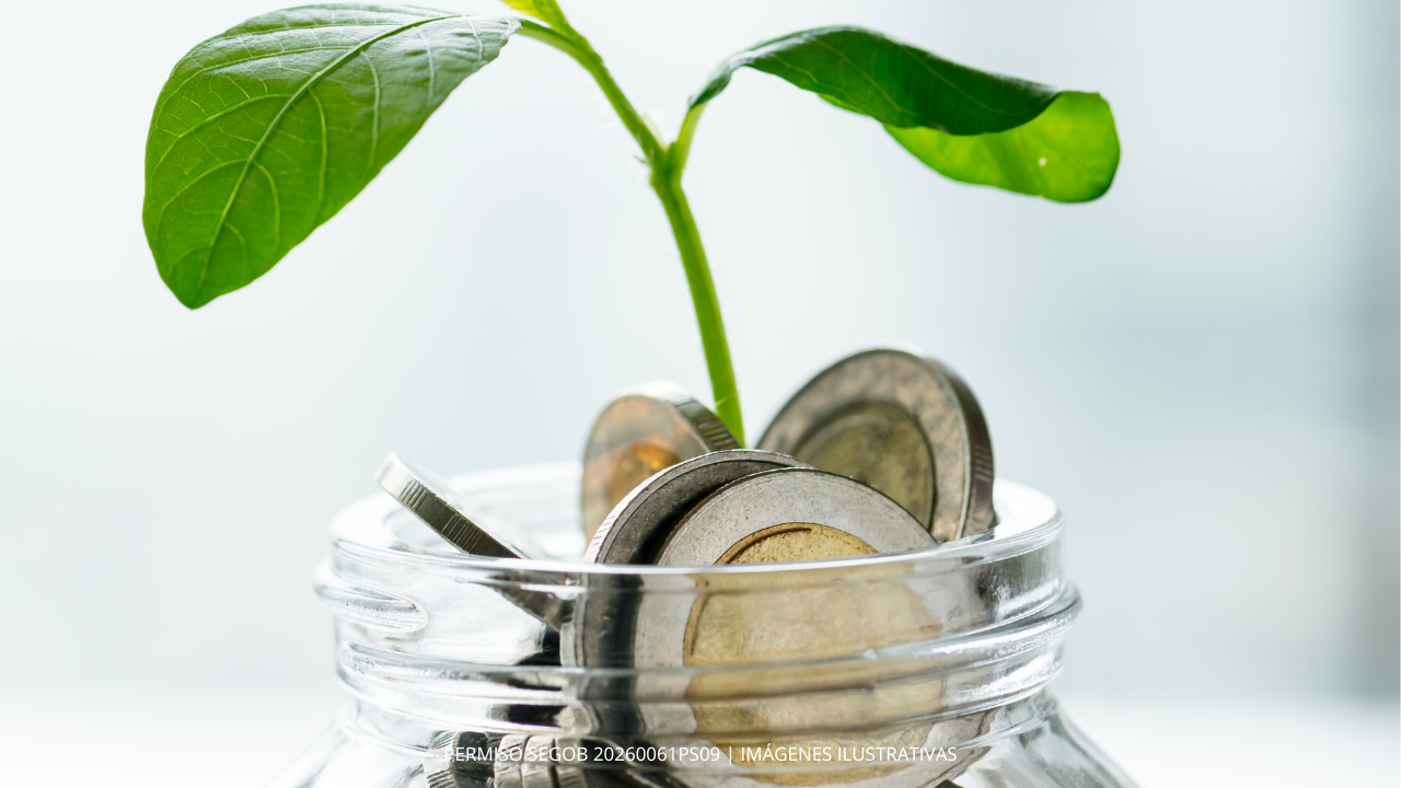 tarro de monedas con planta que simboliza crecimiento 
